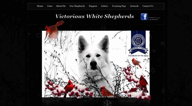 victoriouswhiteshepherds.com