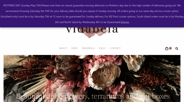 vidabela.co.nz