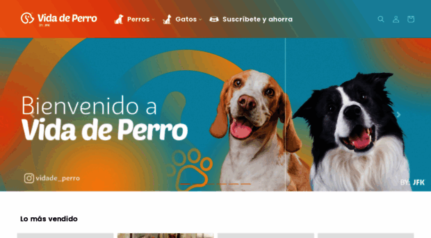 vidadeperro.com