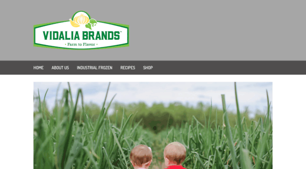 vidalia-brands-inc.myshopify.com