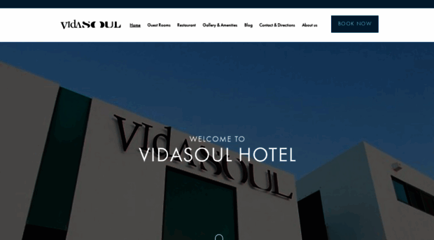 vidasoul.com