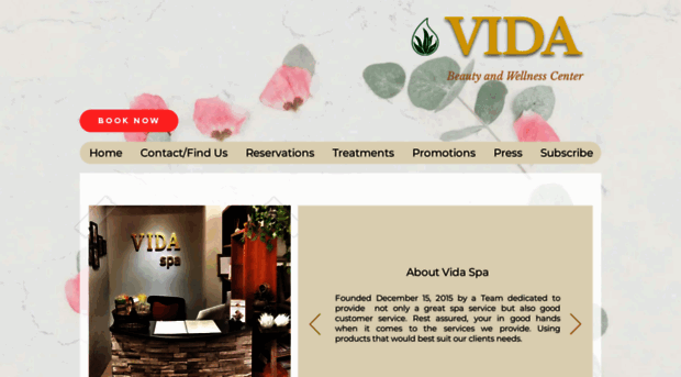 vidaspa.net