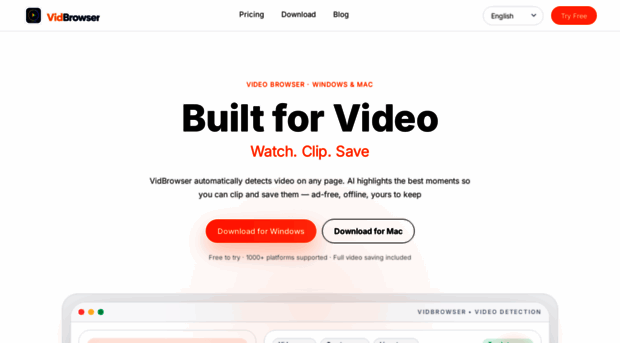 vidbrowser.net