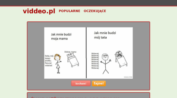 viddeo.pl