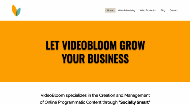 videobloom.com
