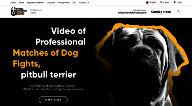 videofightingdog.com