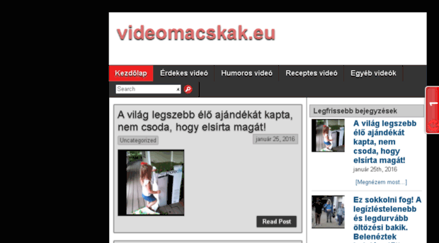 videomacskak.eu