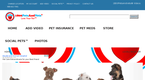 videos.1800petsandvets.com