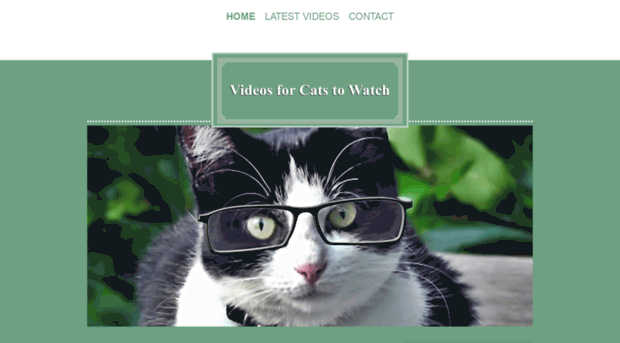 videosforcatstowatch.com