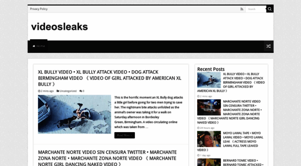 videosleaks.com