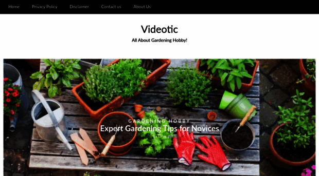 videotic.com