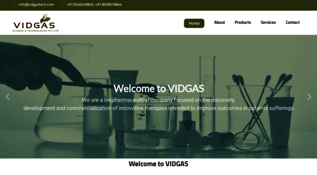 vidgastech.com