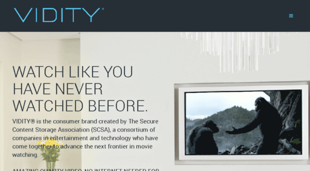 vidity.com