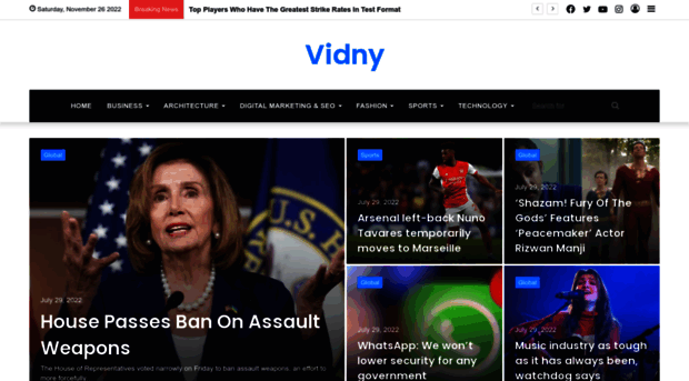 vidny.net