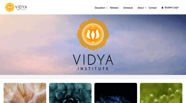 vidyainstitute.ca