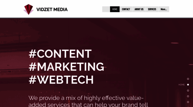 vidzet.com