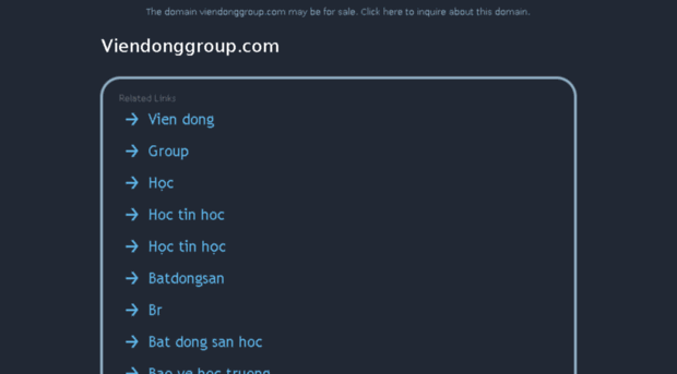 viendonggroup.com