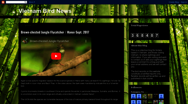 vietnambirdnews.blogspot.com