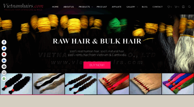 vietnamhairs.com