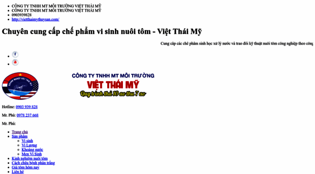 vietthaimythuysan.com