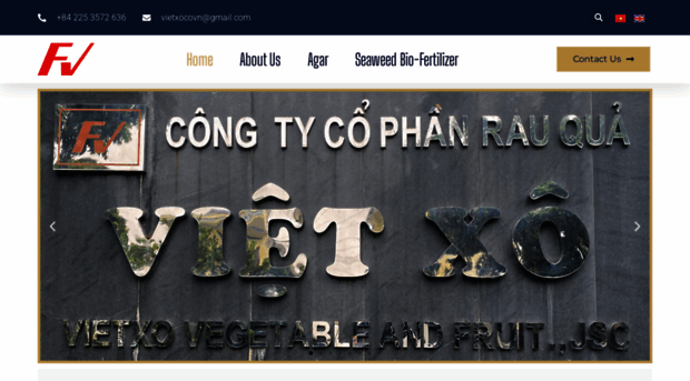vietxo.com