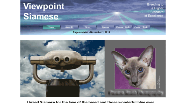 viewpointsiamese.com