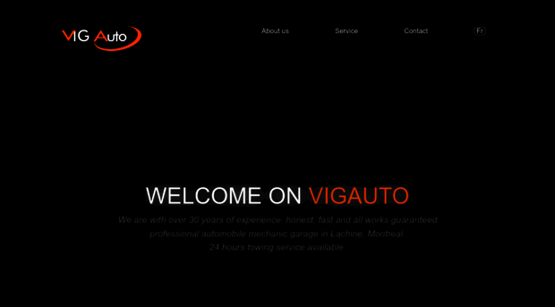 vigauto.com