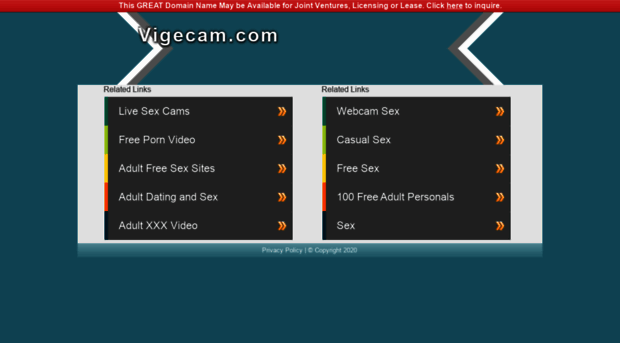 vigecam.com