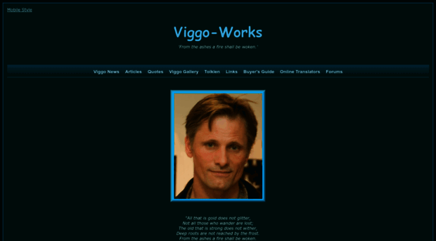 viggo-works.com
