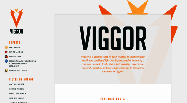 viggor.com