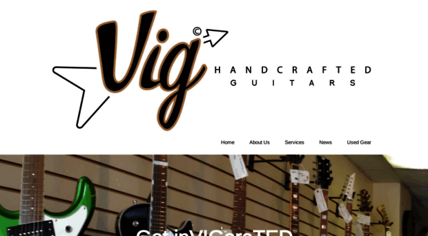 vigguitarshop.com