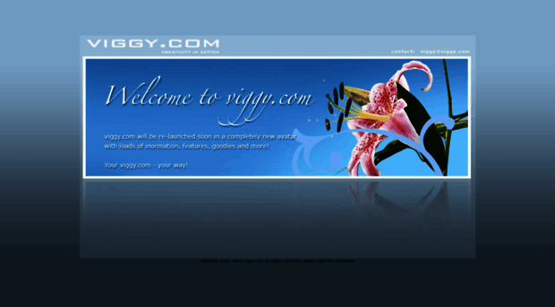 viggy.com