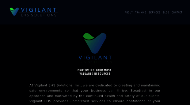 vigilantehs.com