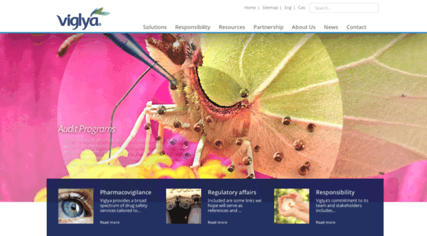 viglya.com