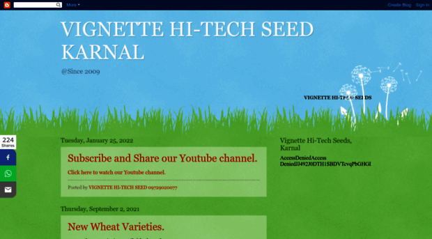 vignetteseed.blogspot.com