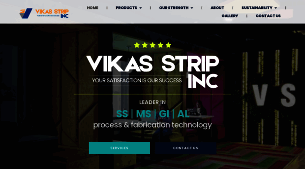 vikasstrip.com