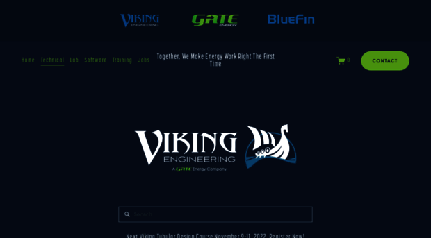 vikingeng.net