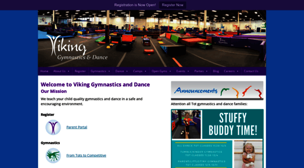 vikinggymnastics.com