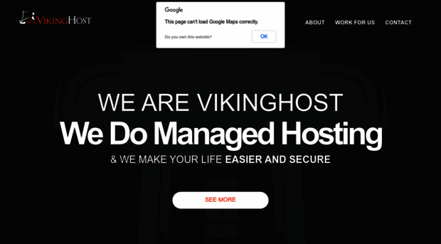 vikinghost.com