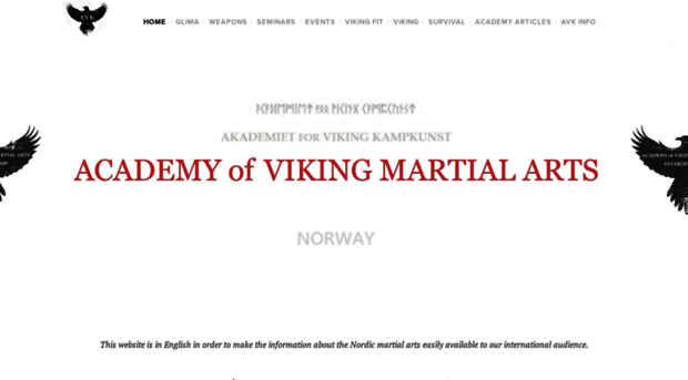 vikingmartialarts.com