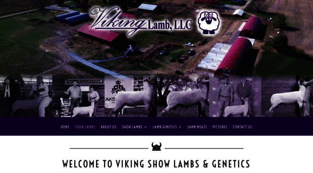 vikingshowlambsandgenetics.com