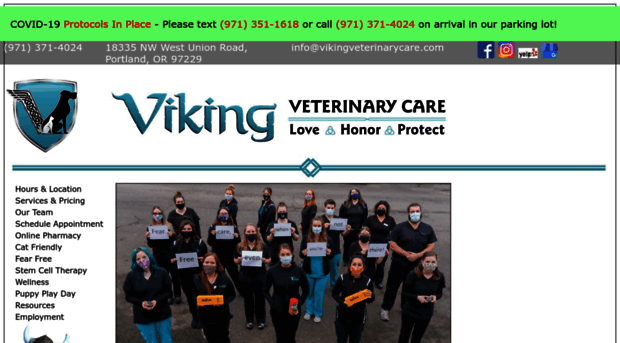 vikingveterinarycare.com