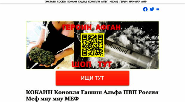 vilgimn.online