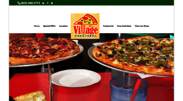 village-pizza-grill.com