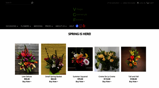 villagegreeneryflowers.com