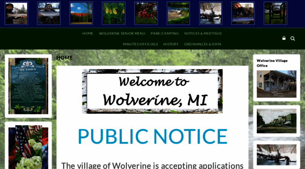 villageofwolverine.com