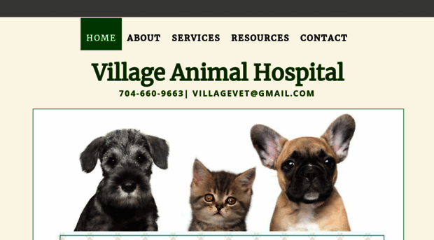 villagepetvet.com