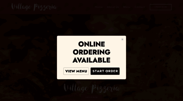 villagepizzeriasouthorange.com
