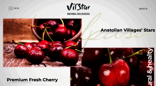 villagesstar.com