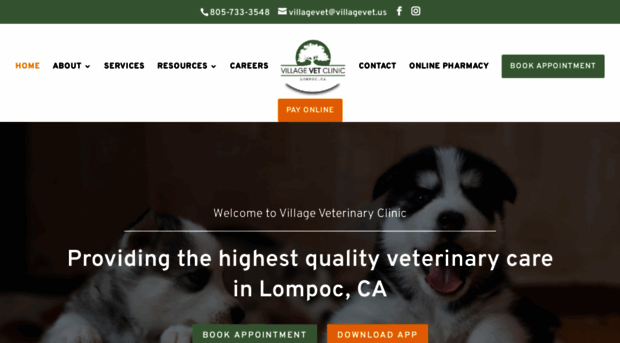 villagevet.us